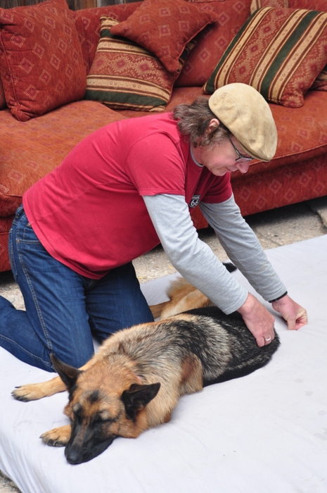 Ella - Auf 3 Beinen.jpg (465 x 700)